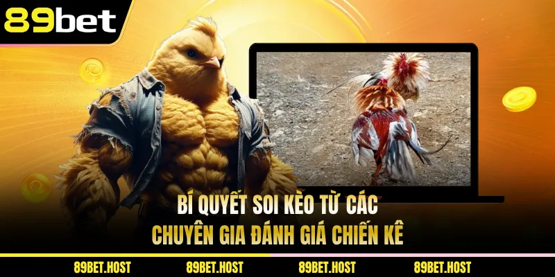 Bí quyết soi kèo từ các chuyên gia đánh giá chiến kê