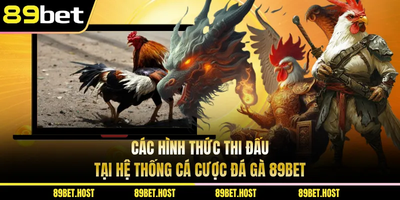 Các hình thức thi đấu tại hệ thống cá cược đá gà 89bet