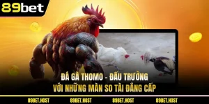 Đá Gà Thomo - Đấu Trường Với Những Màn So Tài Đẳng Cấp